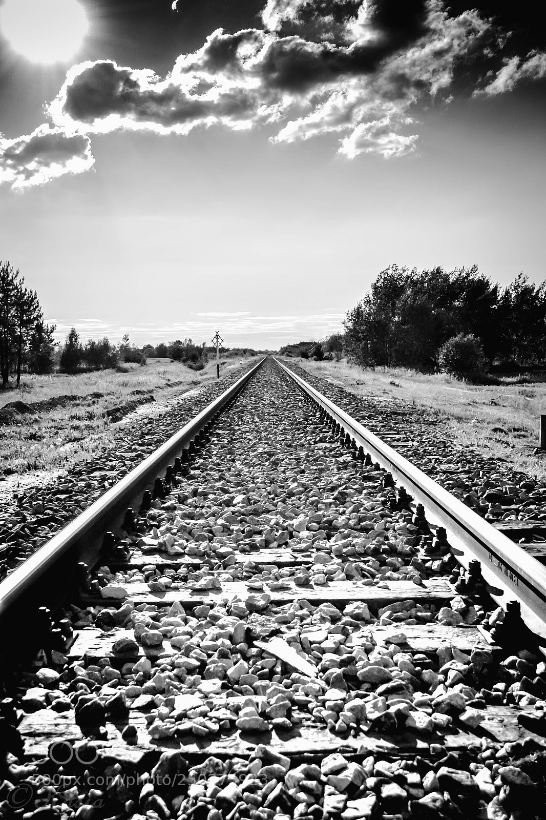 Nikon D3100 sample photo. Tracks photography