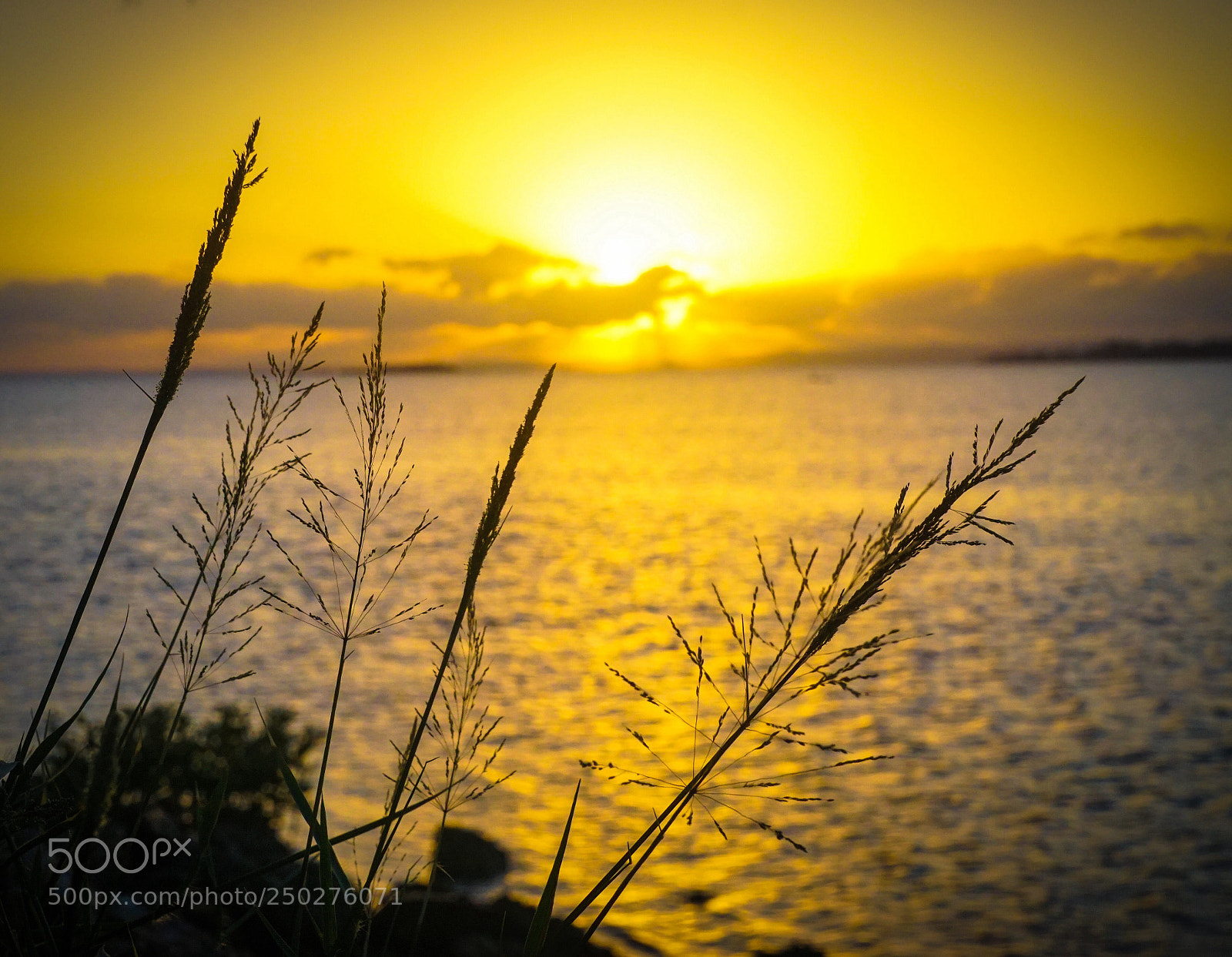 Sony a6000 sample photo. A quiet morning photography