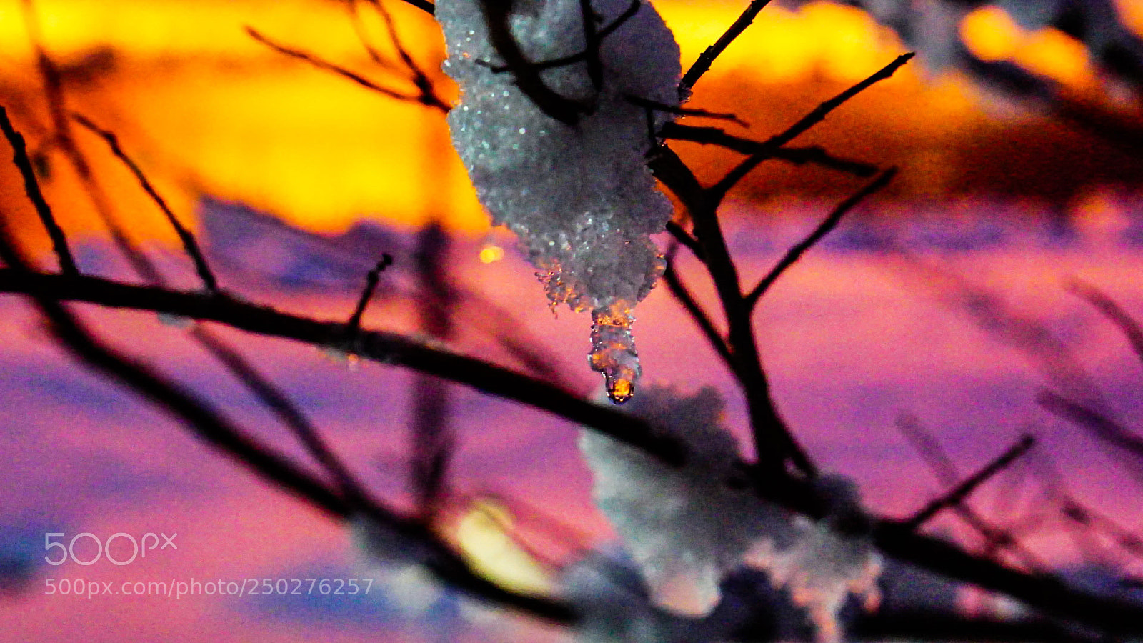 Sony a6000 sample photo. Snow hang 1 photography