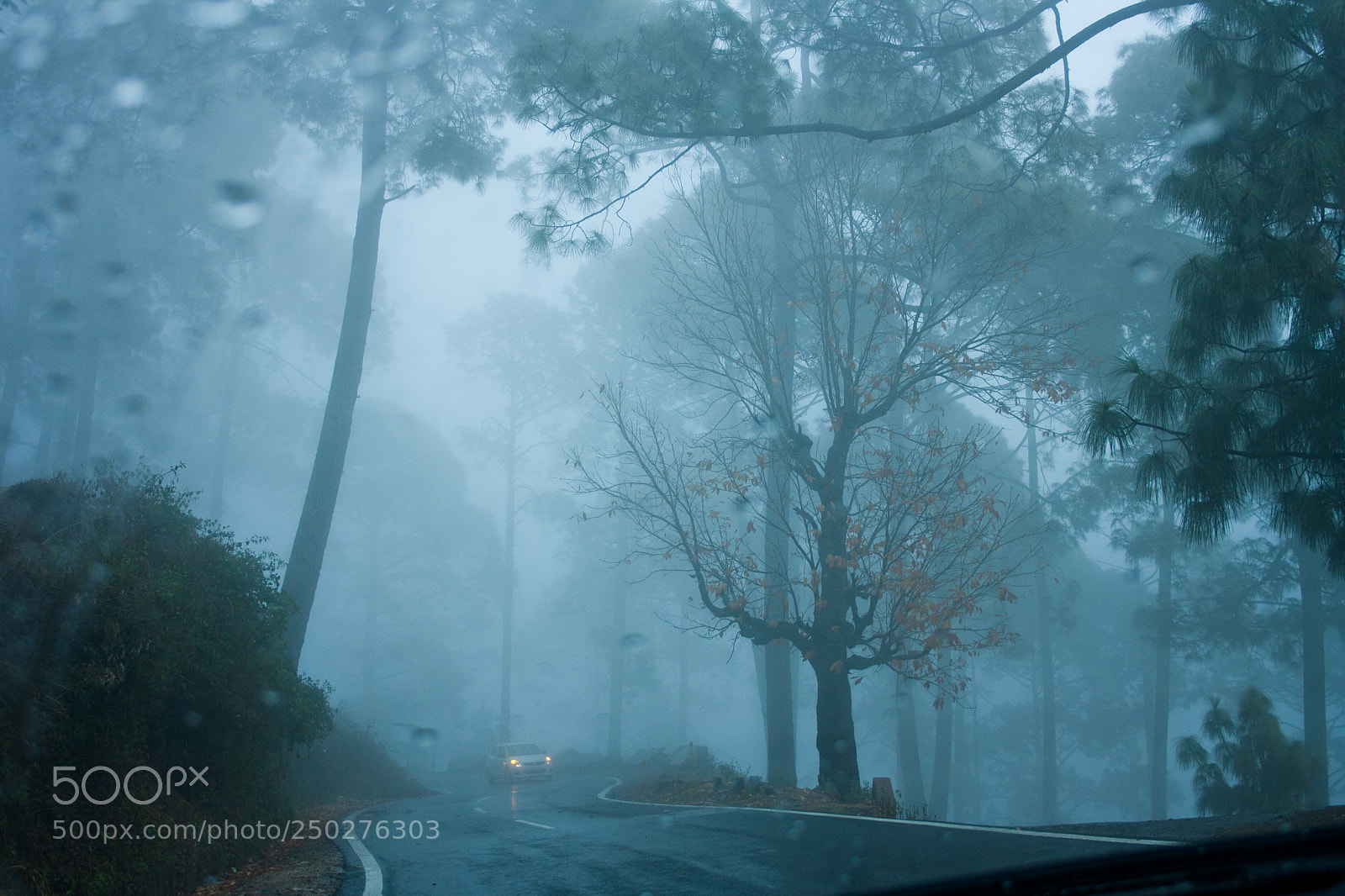 Canon EOS 1000D (EOS Digital Rebel XS / EOS Kiss F) sample photo. Foggy morning drive photography