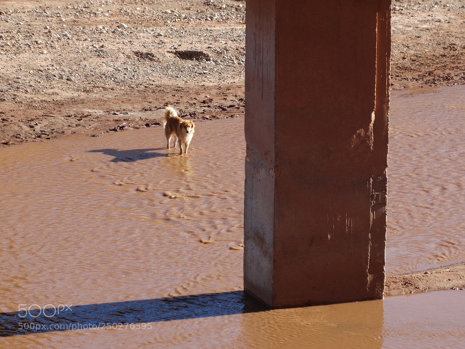 Sony Cyber-shot DSC-HX300 sample photo. Ksar de ait ben photography