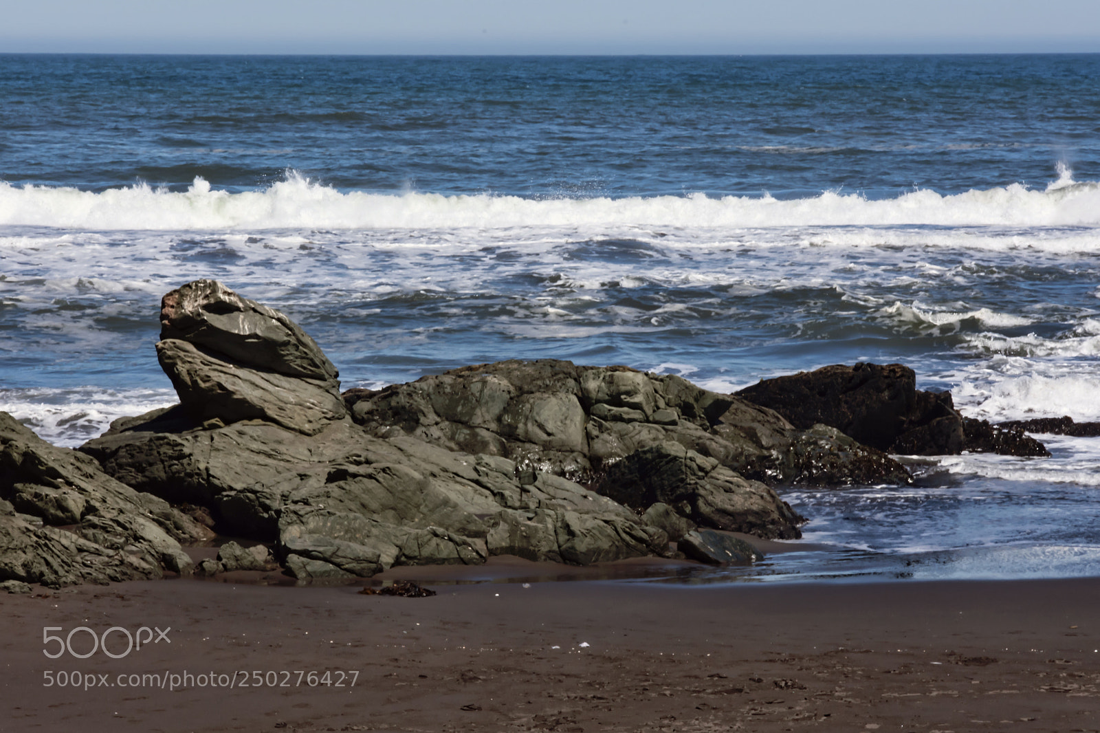 Nikon D7200 sample photo. Sea monster photography
