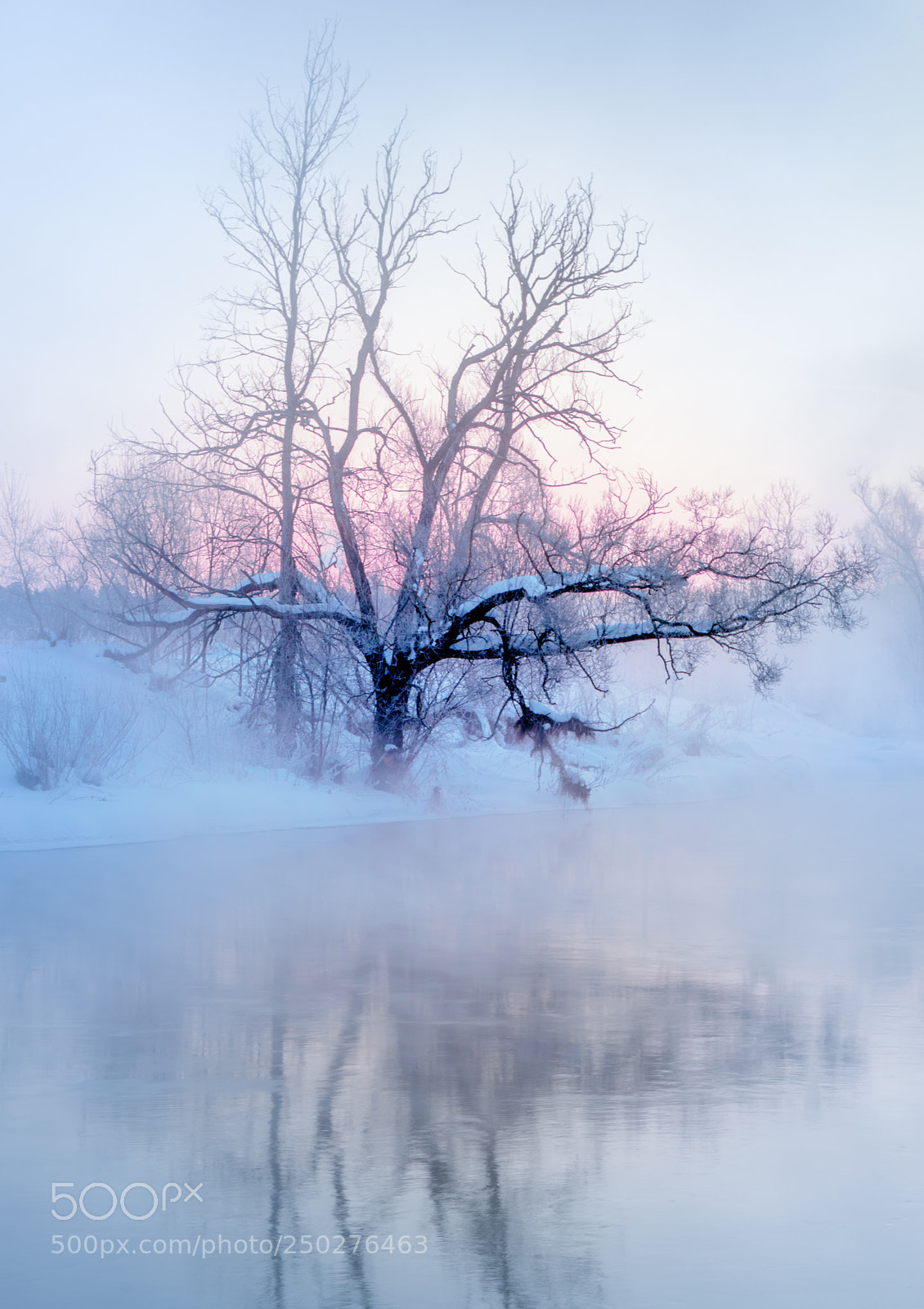 Nikon D5300 sample photo. Frosty morning 2.0 photography
