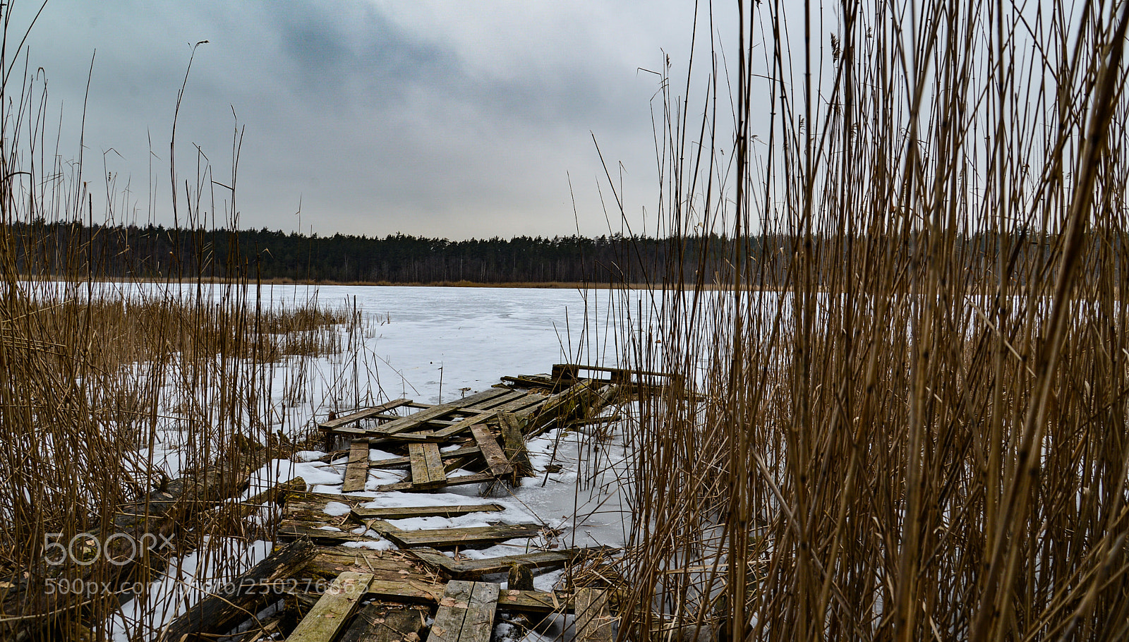 Nikon D600 sample photo. Untitled photography