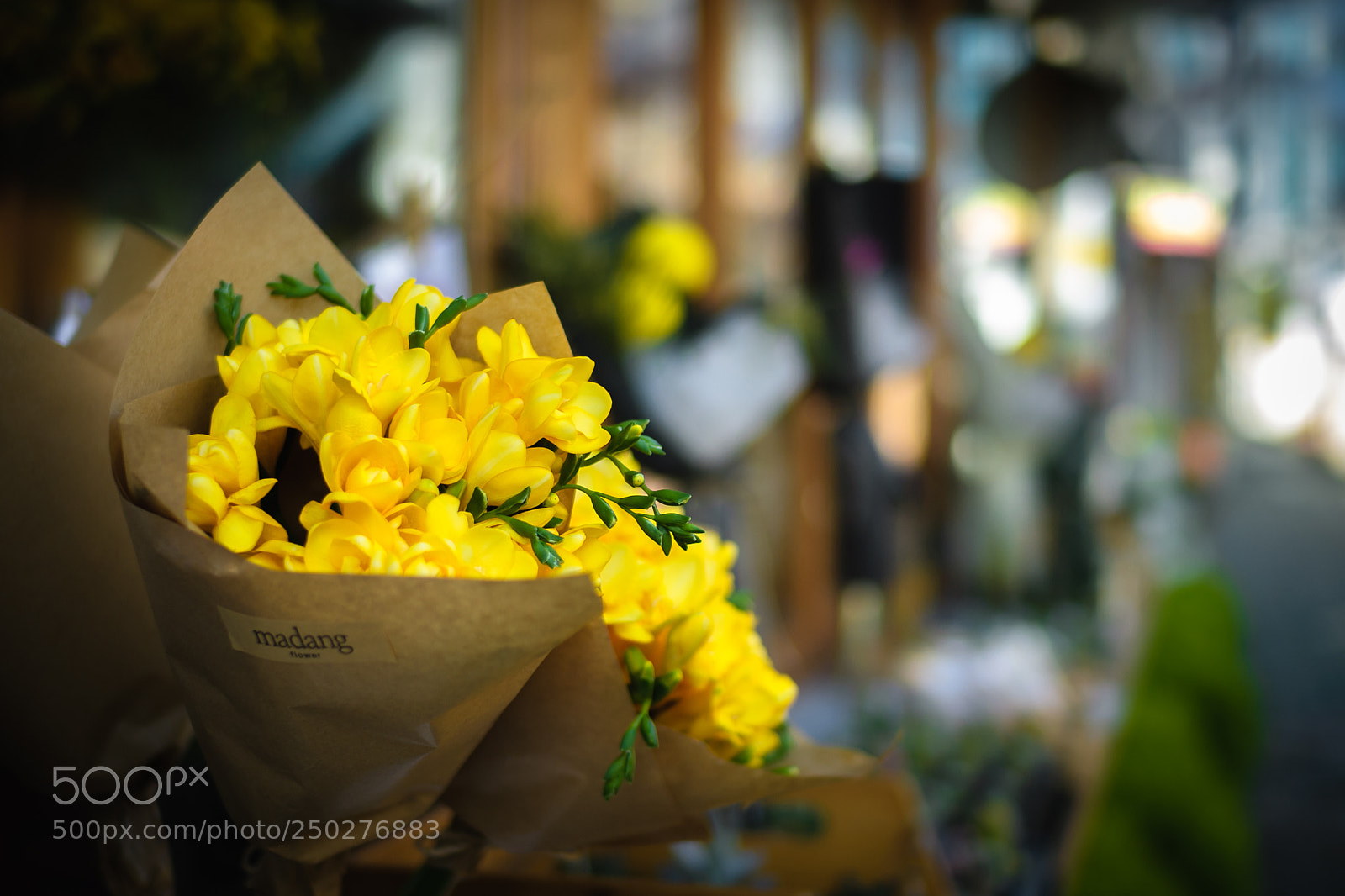 Nikon D200 sample photo. A bunch of flowers photography