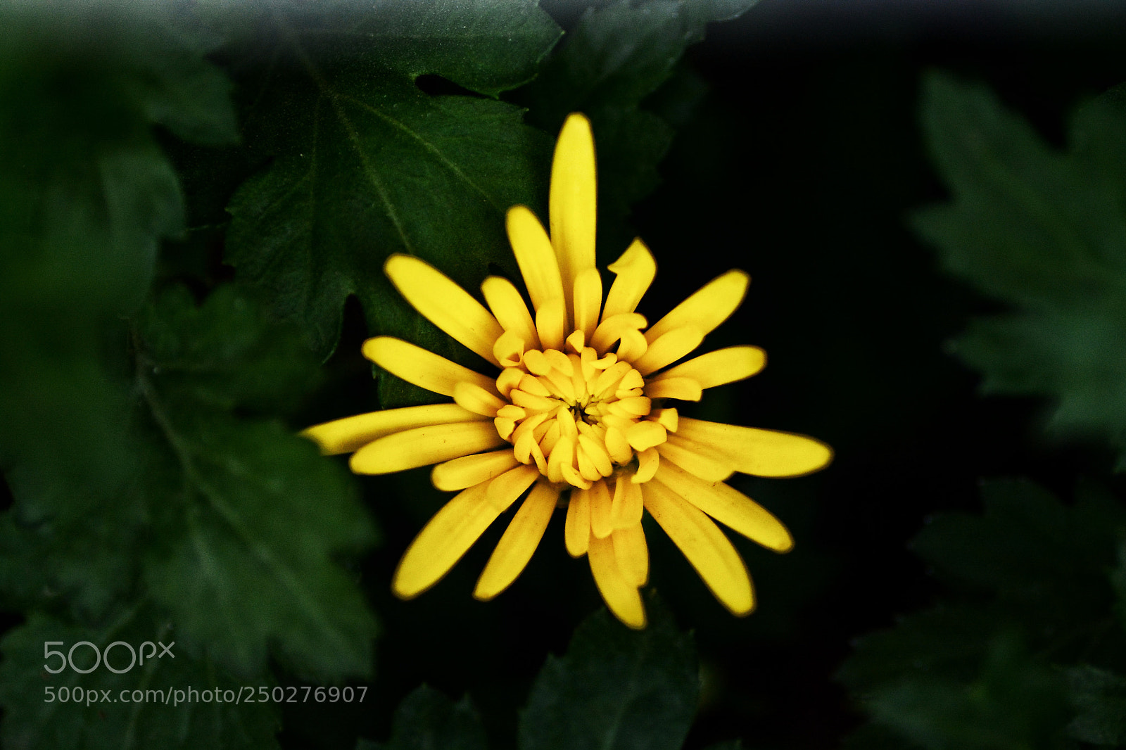 Nikon D7100 sample photo. Untitled photography