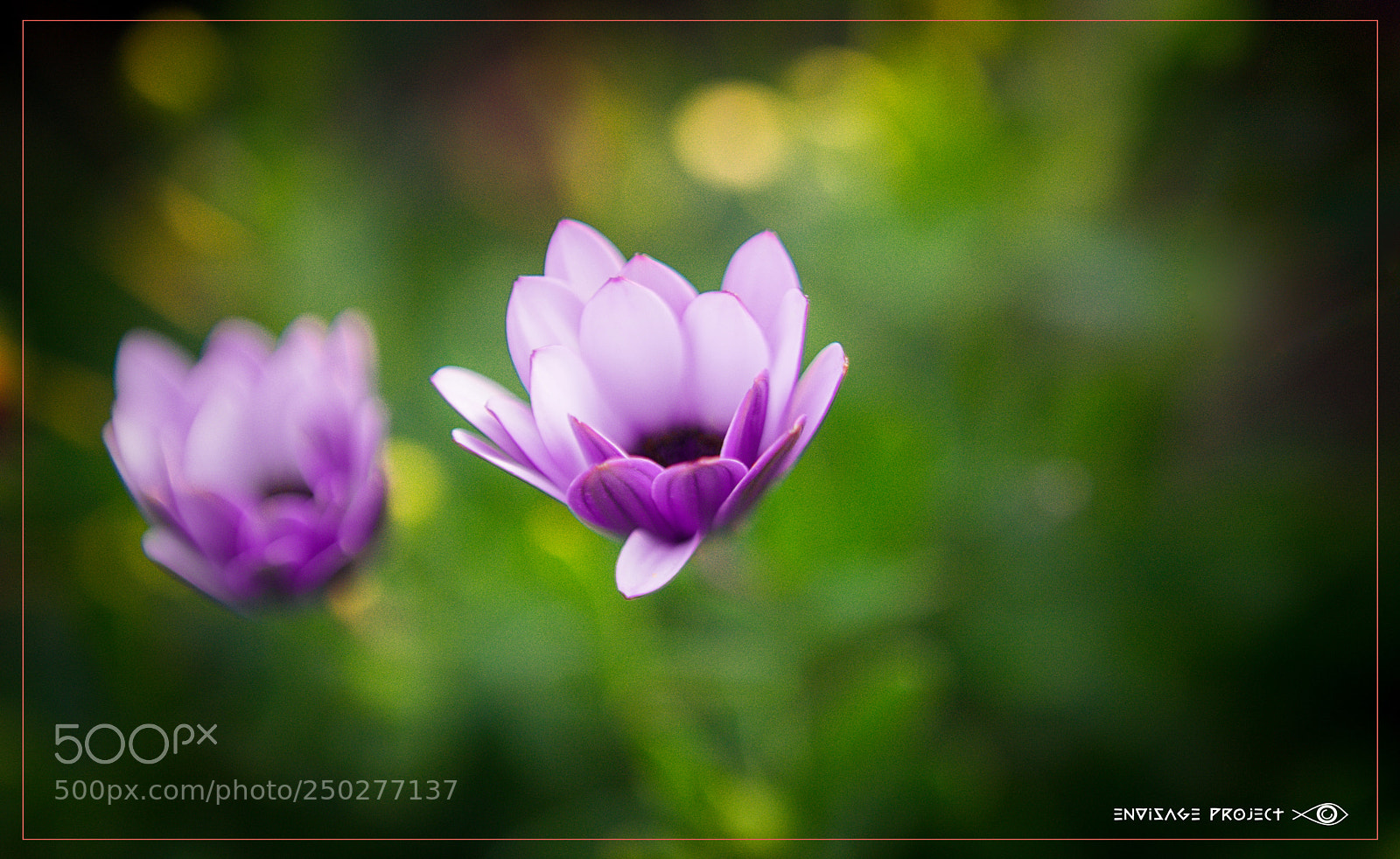 Sony a7R sample photo. Floating photography