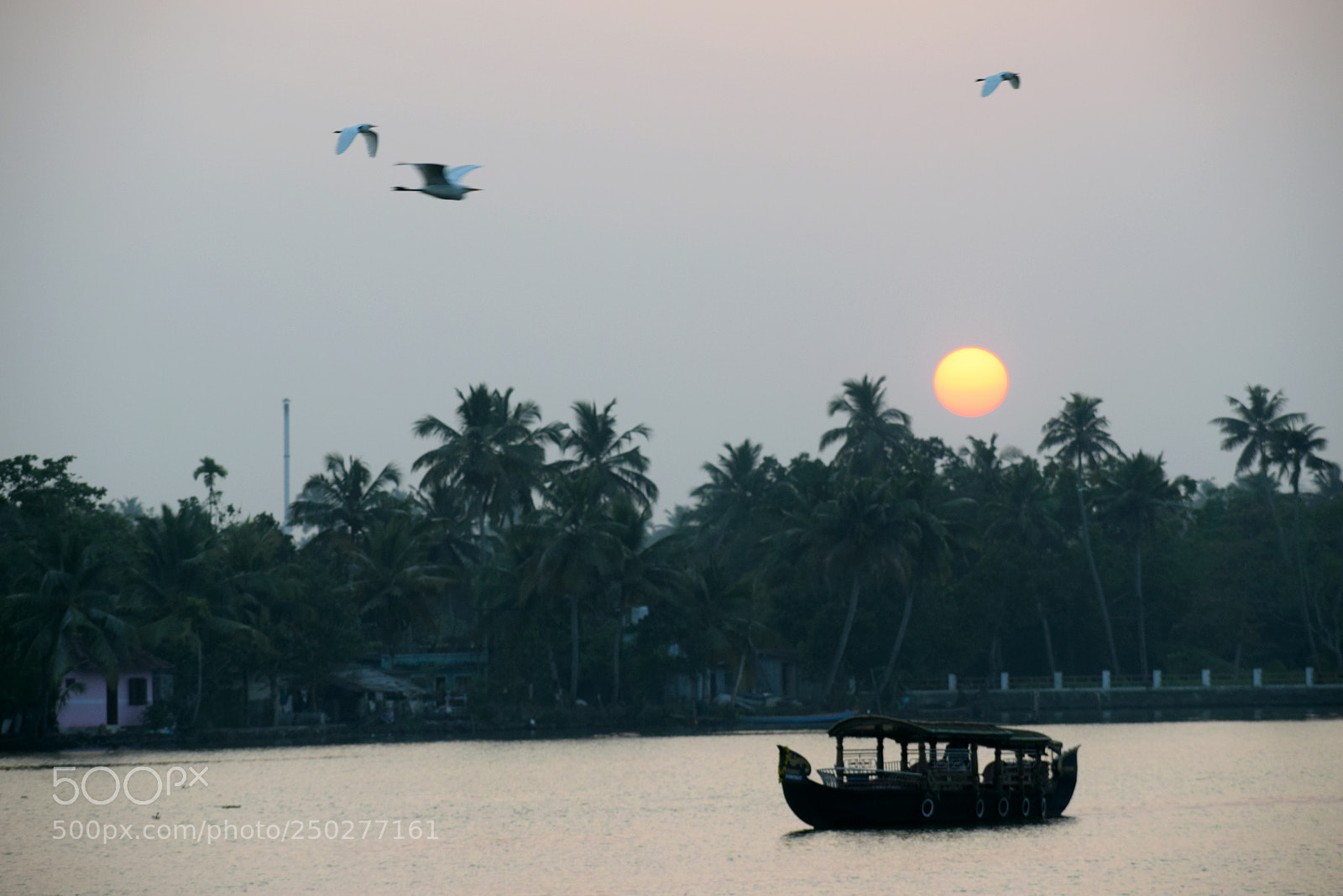 Nikon D5300 sample photo. Natural scenery photography