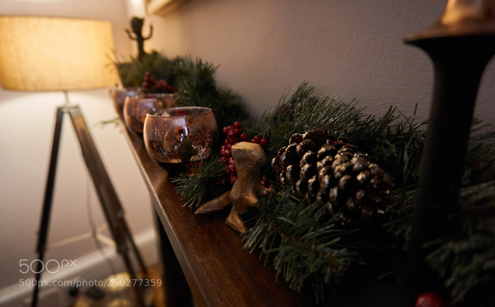 Sony a6000 sample photo. Xmas t-rex photography