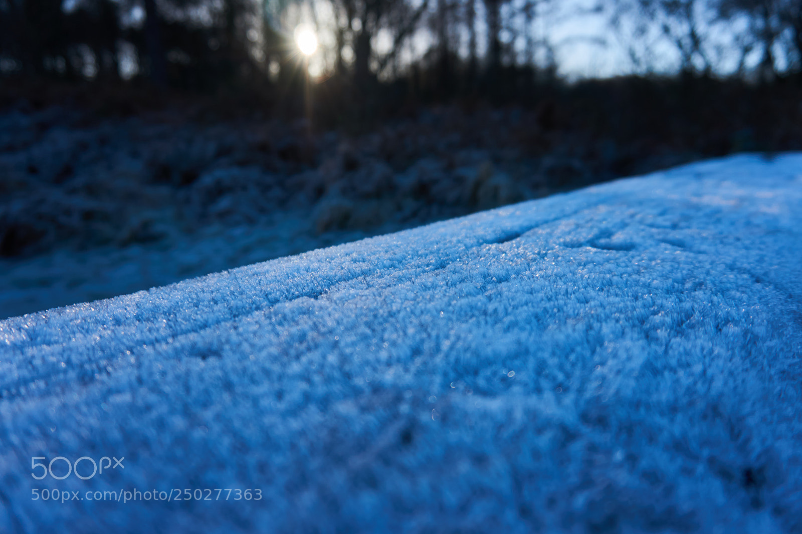 Sony a6000 sample photo. Frosty morning photography