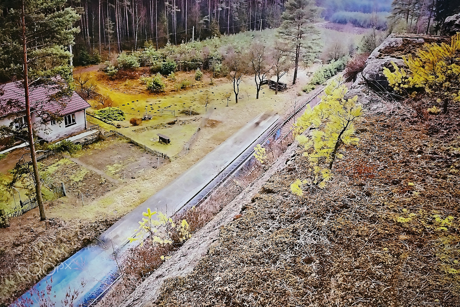 Nikon Coolpix P6000 sample photo. Single track number 080 with train leading mysterious pine forest in machuv kraj region in czech... photography