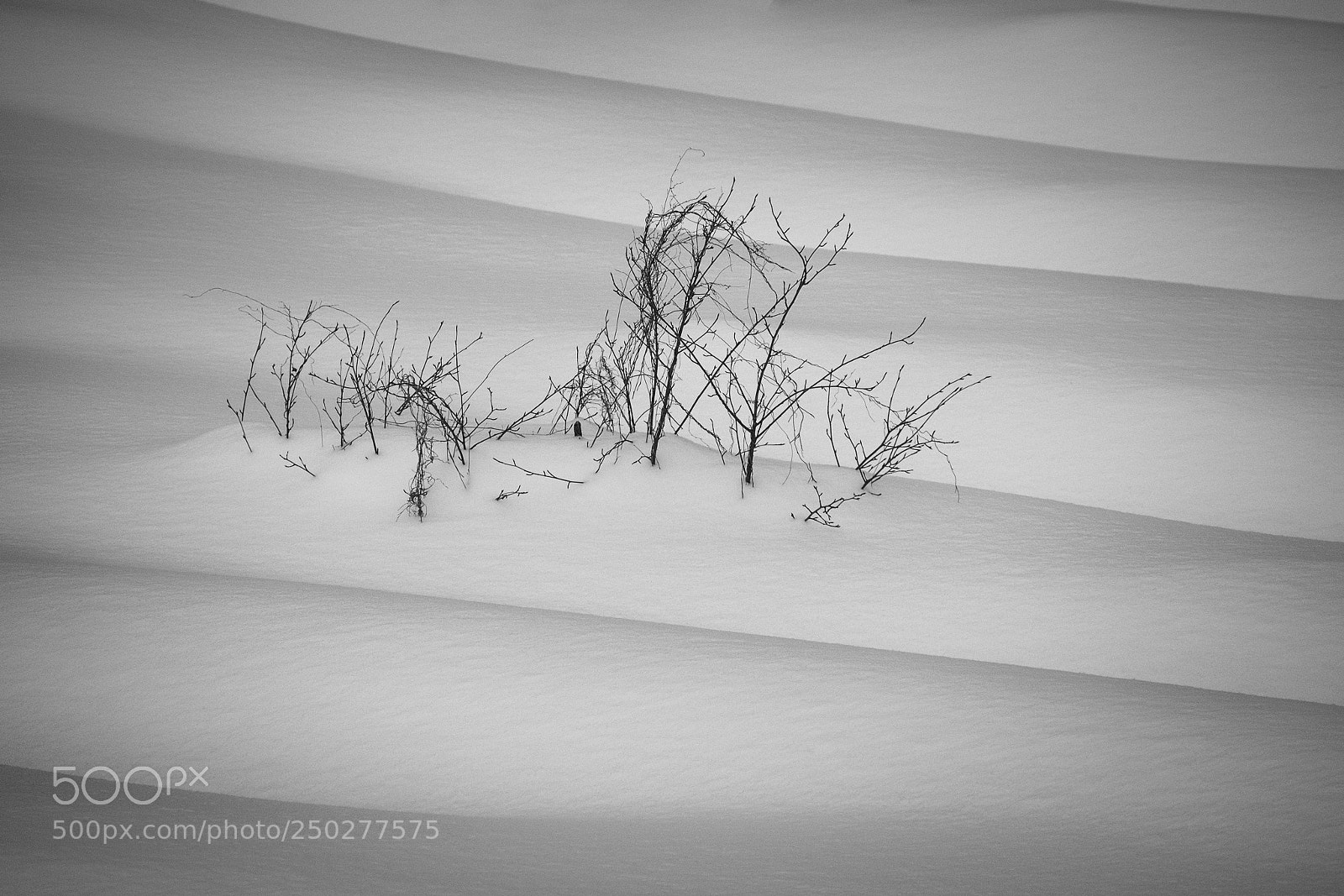 Fujifilm X-T1 sample photo. Snow lines photography