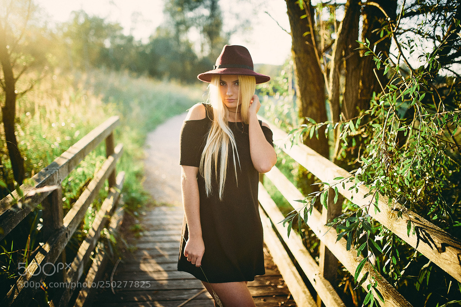 Canon EOS 5D Mark IV sample photo. Autumn beauty photography