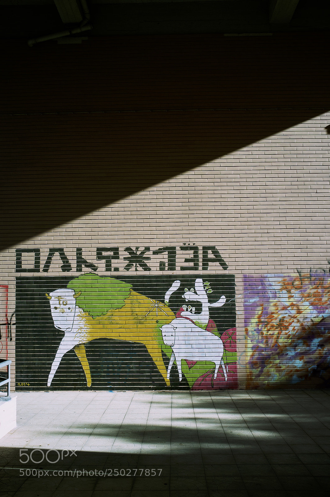 Fujifilm FinePix X100 sample photo. Bull photography