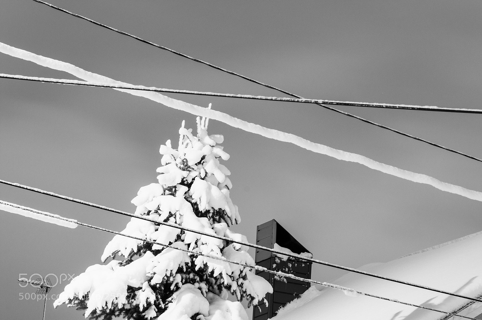 Nikon D300 sample photo. Lots of snow photography