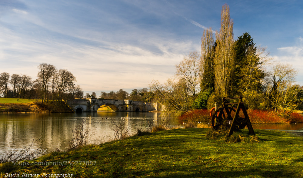 Nikon D7200 sample photo. Vanbrugh bridge blenheim photography