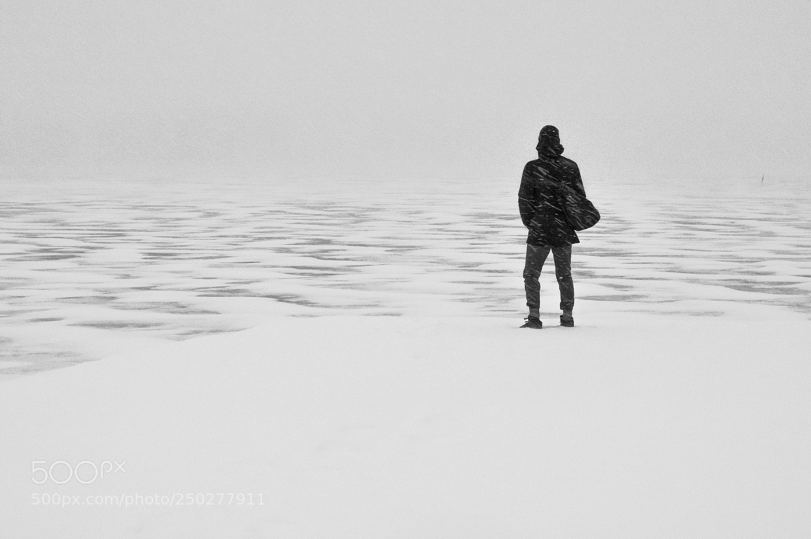 Nikon D300 sample photo. In blizzard photography