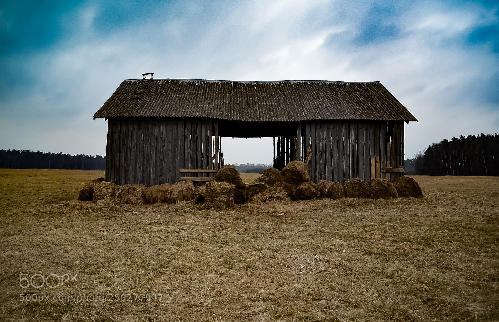 Nikon D600 sample photo. Untitled photography