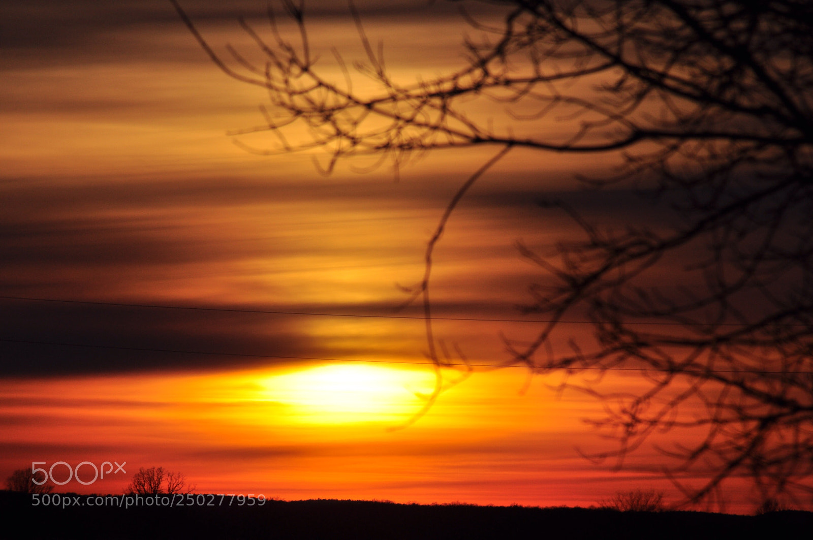 Nikon D5000 sample photo. Through the trees photography