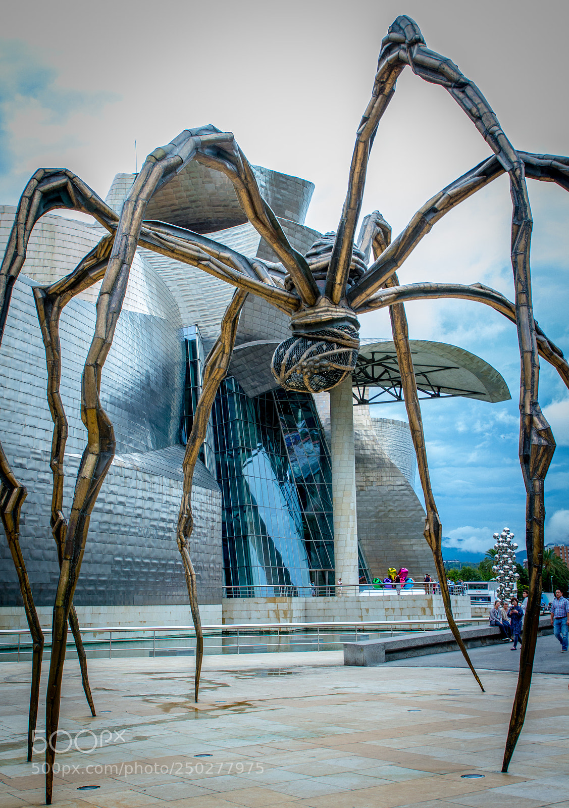 Canon EOS 650D (EOS Rebel T4i / EOS Kiss X6i) sample photo. Maman giant spider photography