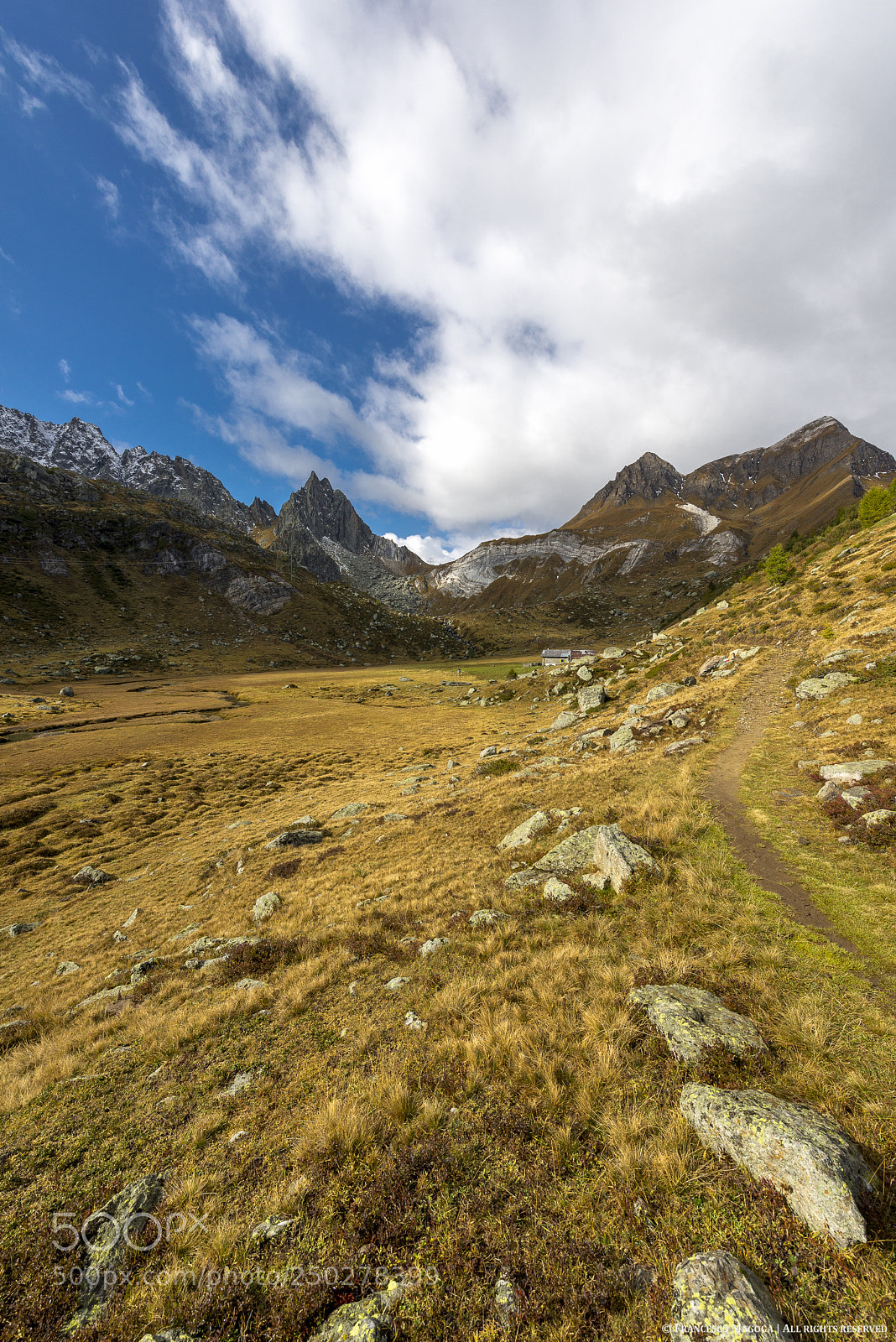 Nikon D600 sample photo. Swiss-italian highlands photography