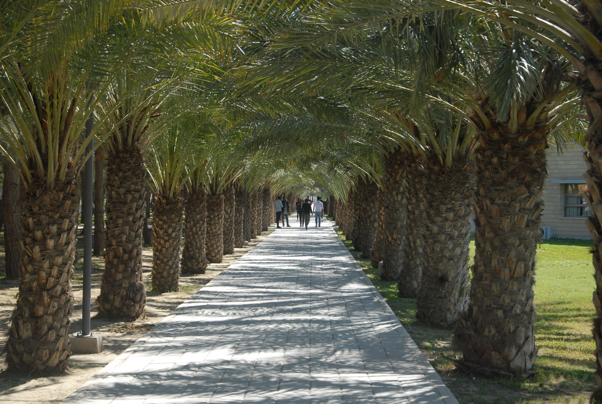 Nikon D200 sample photo. 2.jpg photography
