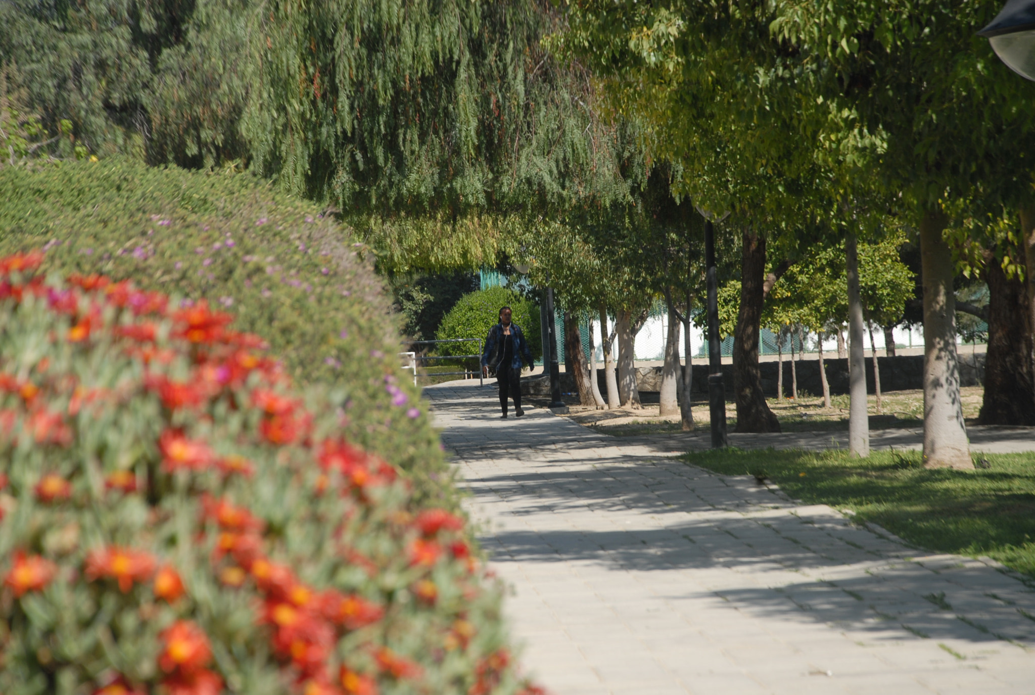 Nikon D200 sample photo. 6.jpg photography
