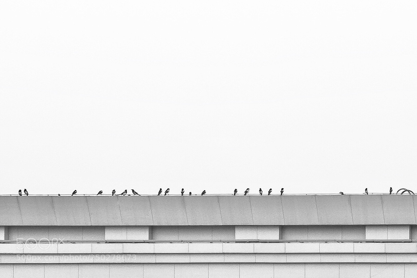 Fujifilm X100F sample photo. 春天的音符? photography