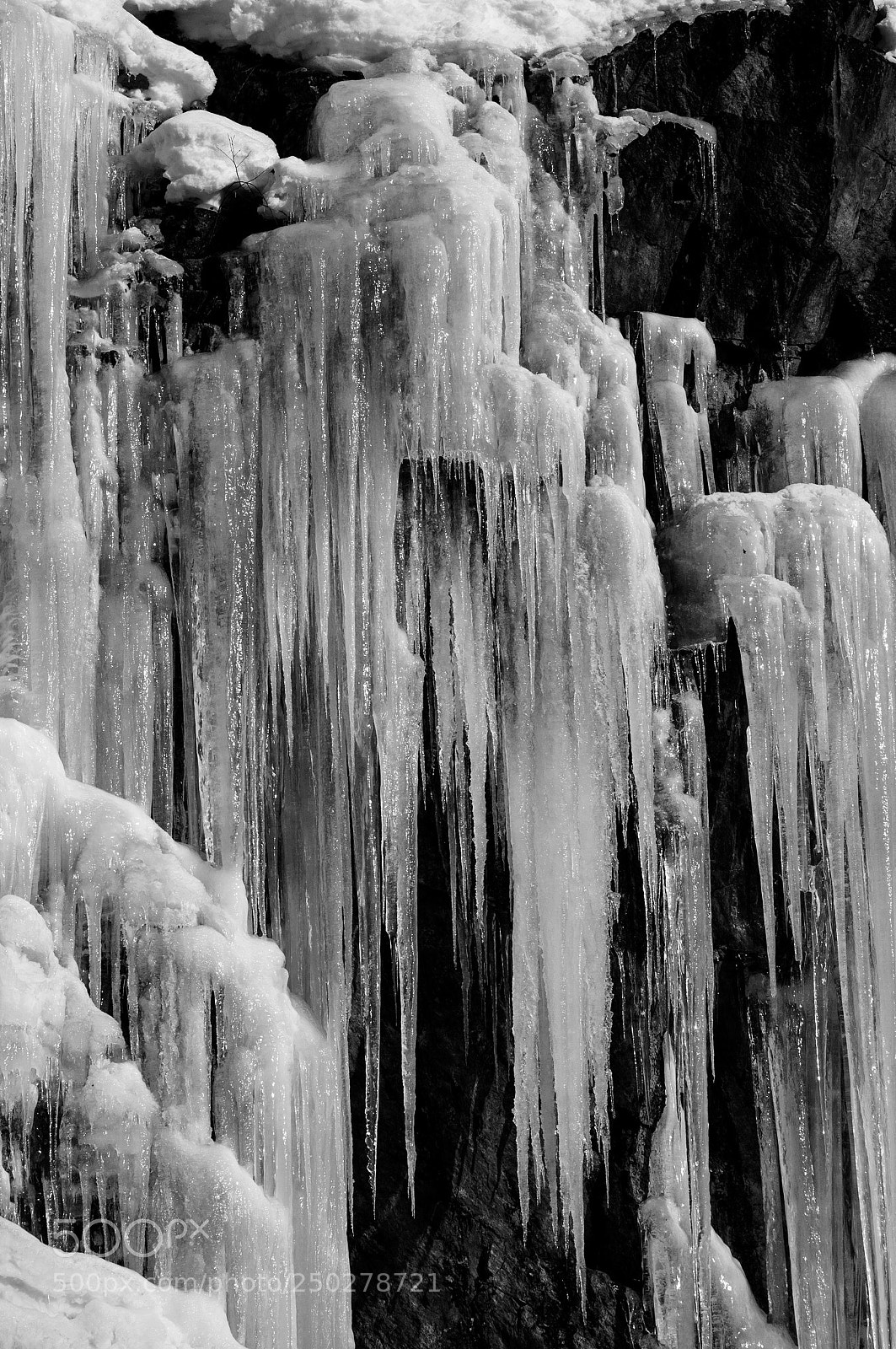 Nikon D300 sample photo. Icicles photography