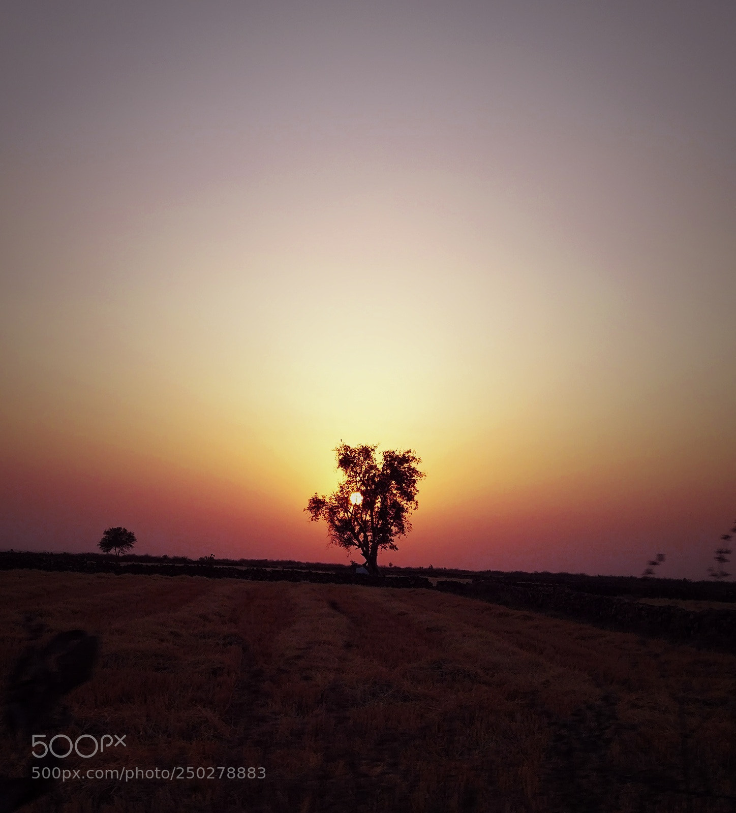 OnePlus A3003 sample photo. Sunset photography