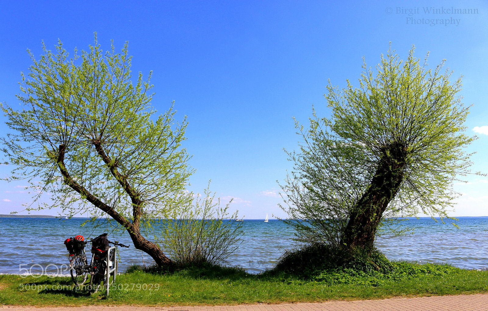 Canon EOS 70D sample photo. 16-1.jpg photography
