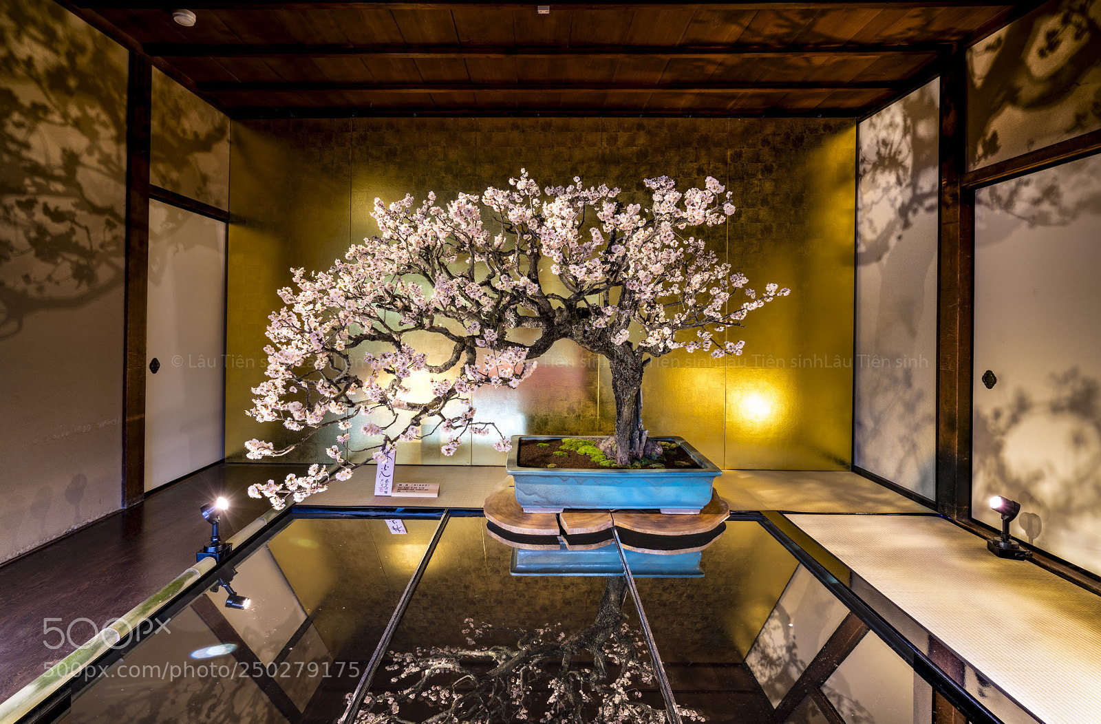 Sony a7R III sample photo. Untitled photography