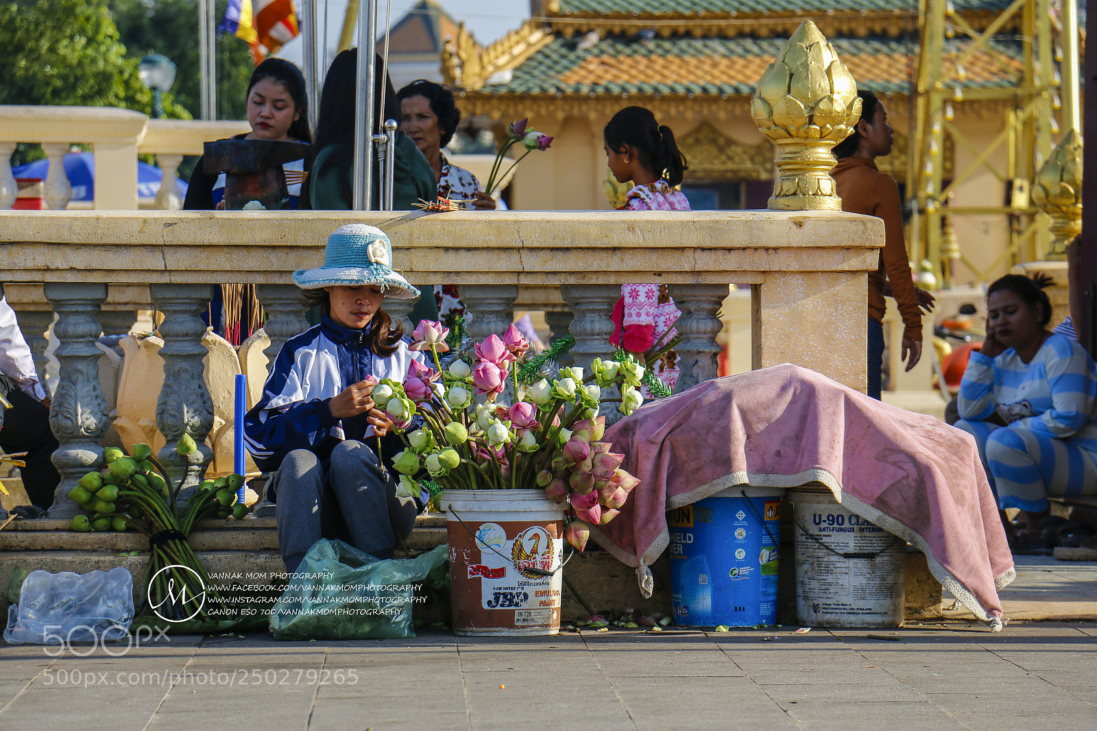 Canon EOS 70D sample photo. Mg photography