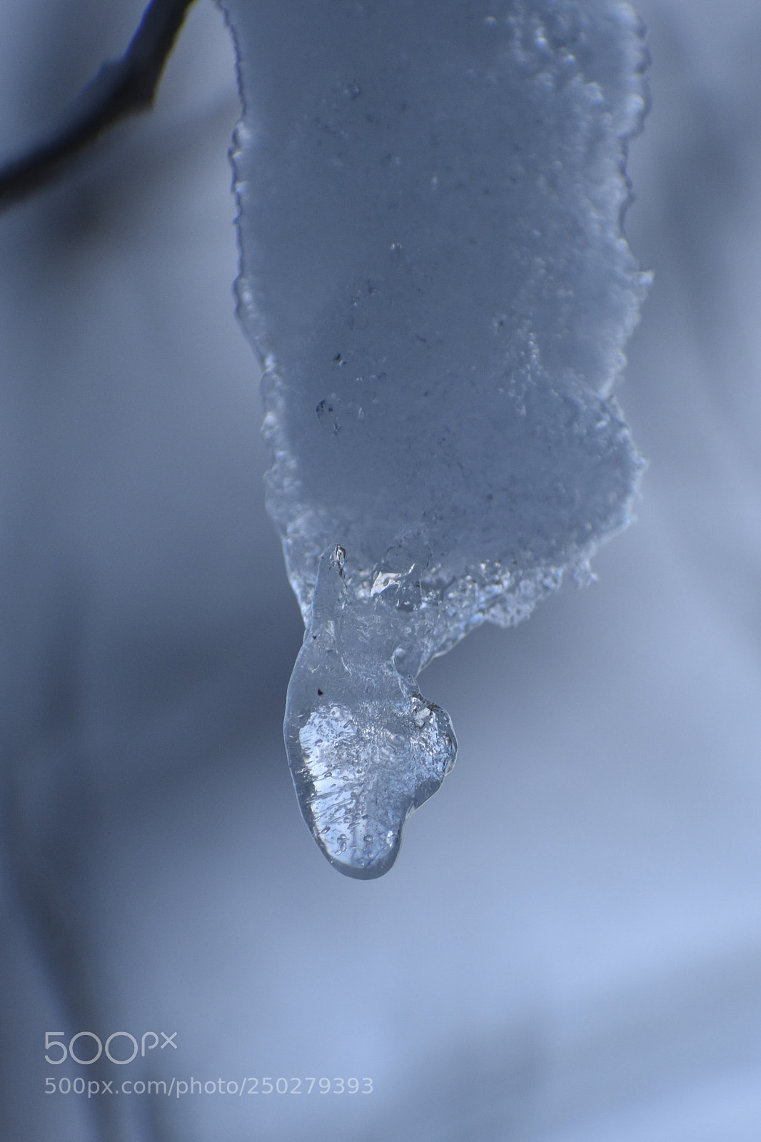 Nikon D3400 sample photo. Untitled photography