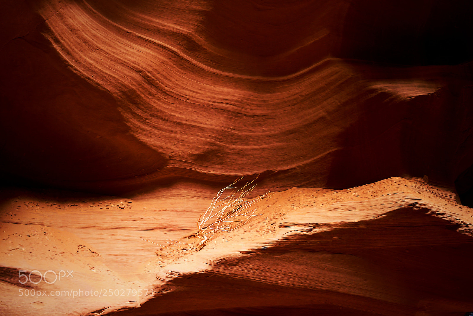 Nikon D810 sample photo. Antelope canyon photography