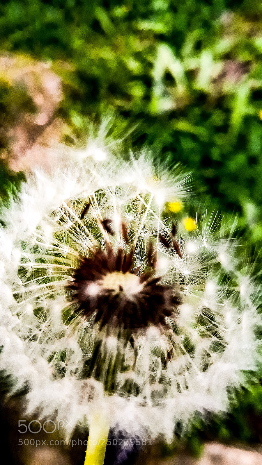 Samsung Galaxy J7 sample photo. Untitled photography
