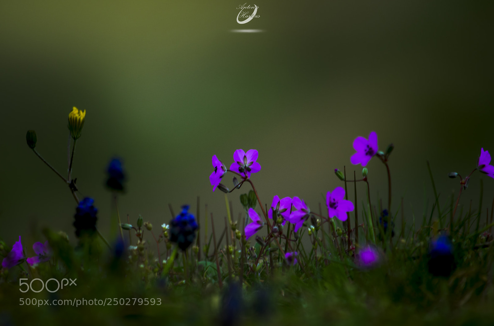 Nikon D3400 sample photo. Img photography