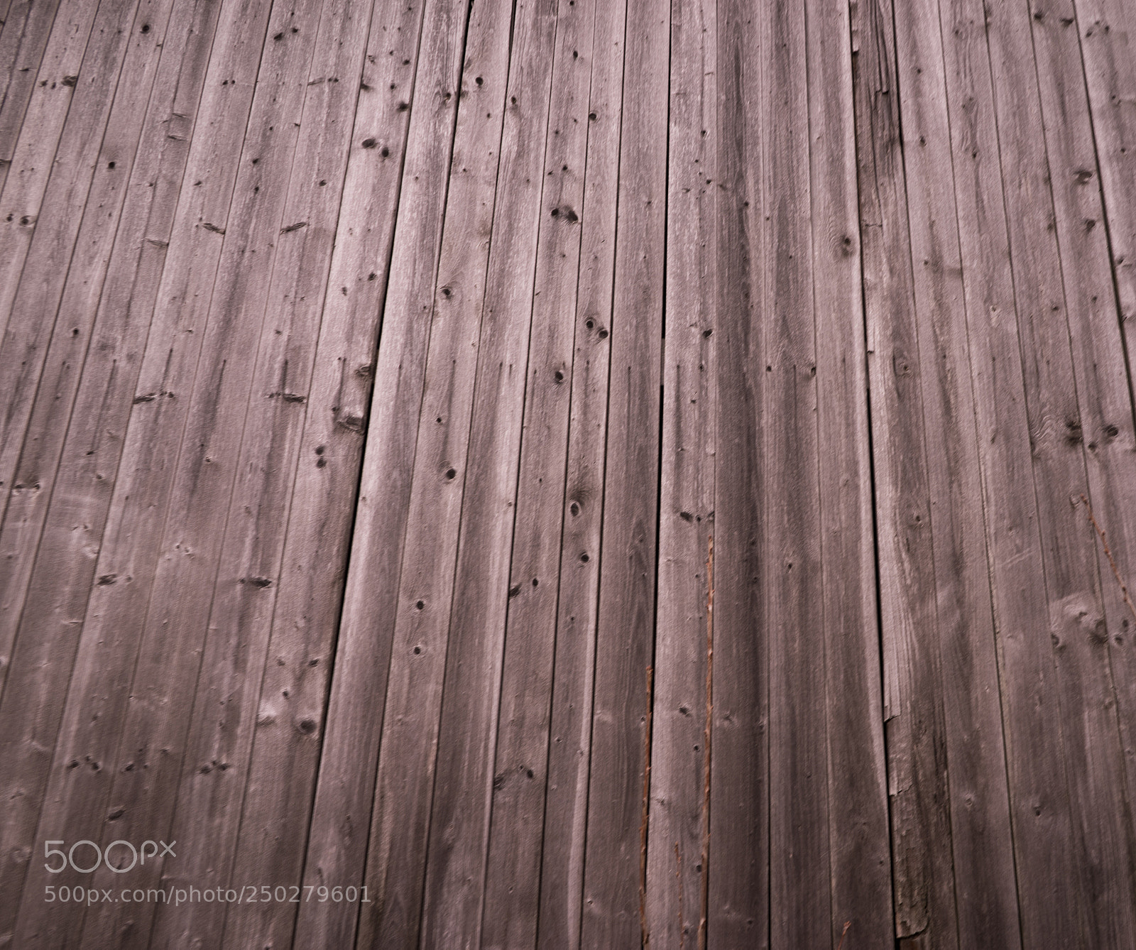 Sony a7 sample photo. Old wooden planks in photography
