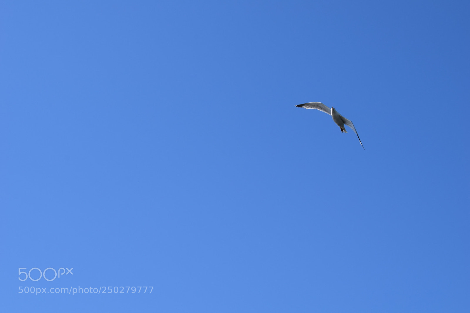 Nikon D5300 sample photo. With the blue to photography