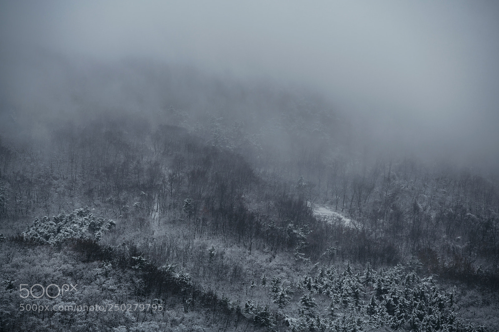 Nikon D850 sample photo. In photography