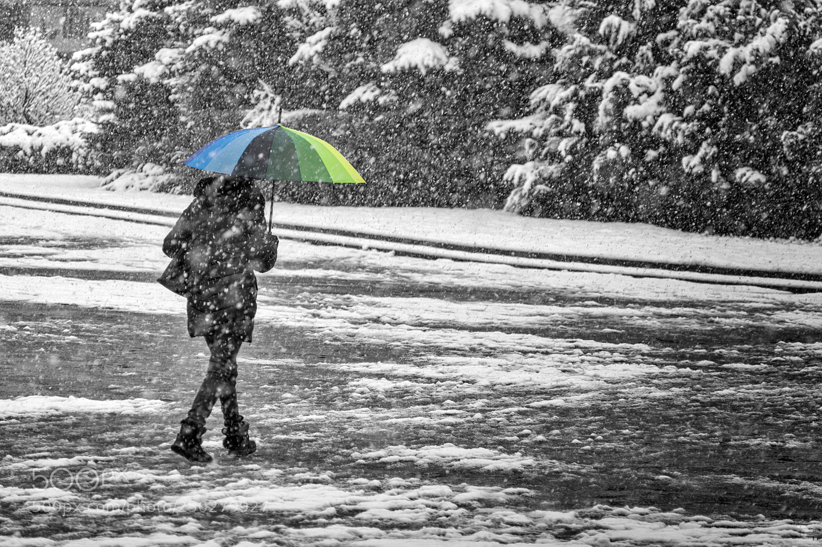 Nikon D5300 sample photo. Spring snow photography
