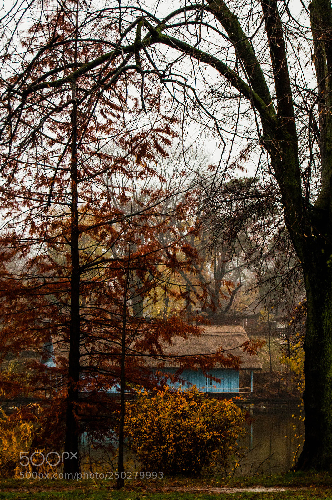 Nikon D90 sample photo. Untitled photography