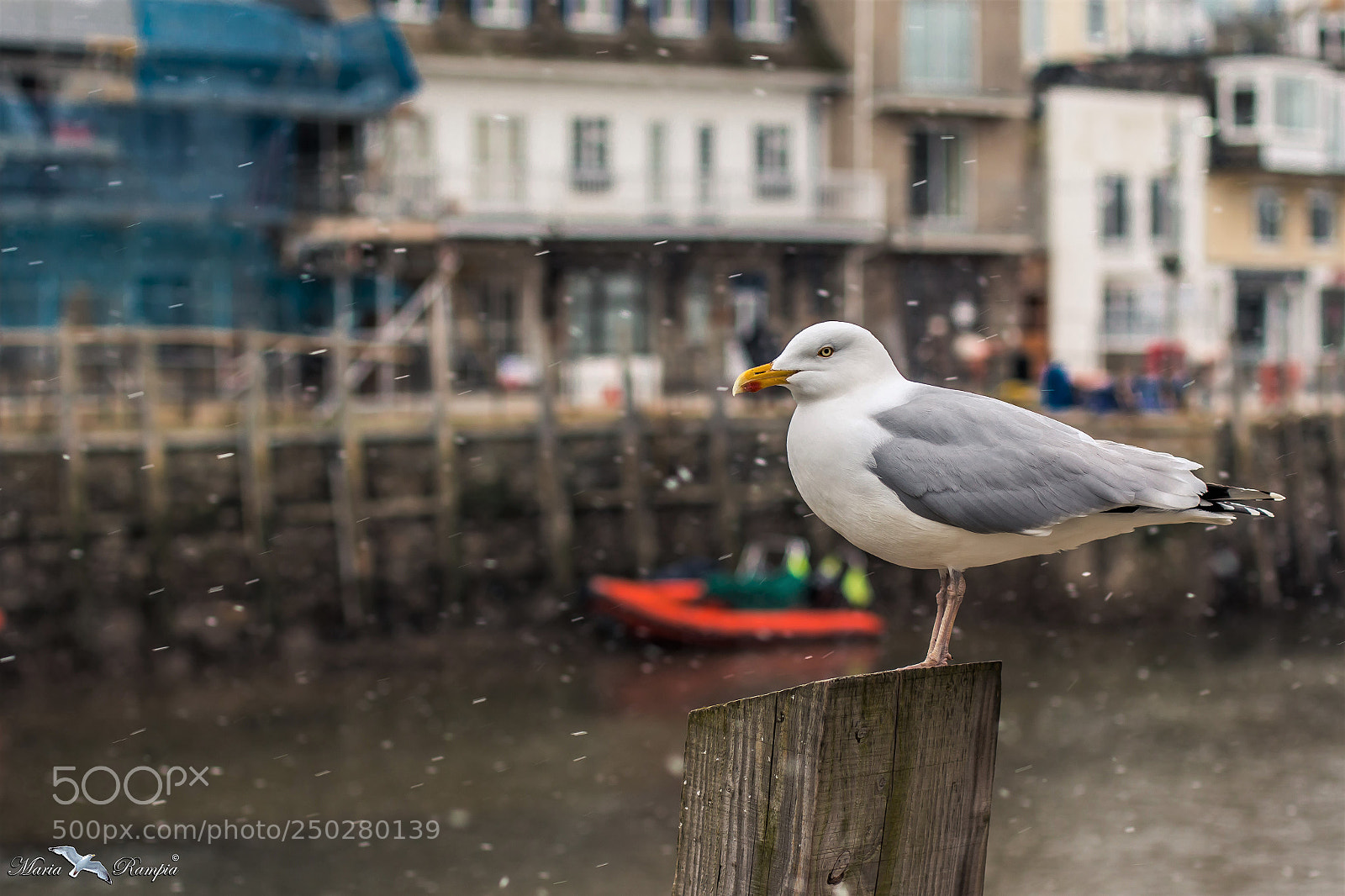 Canon EOS 70D sample photo. Cornwall snow 2018 photography