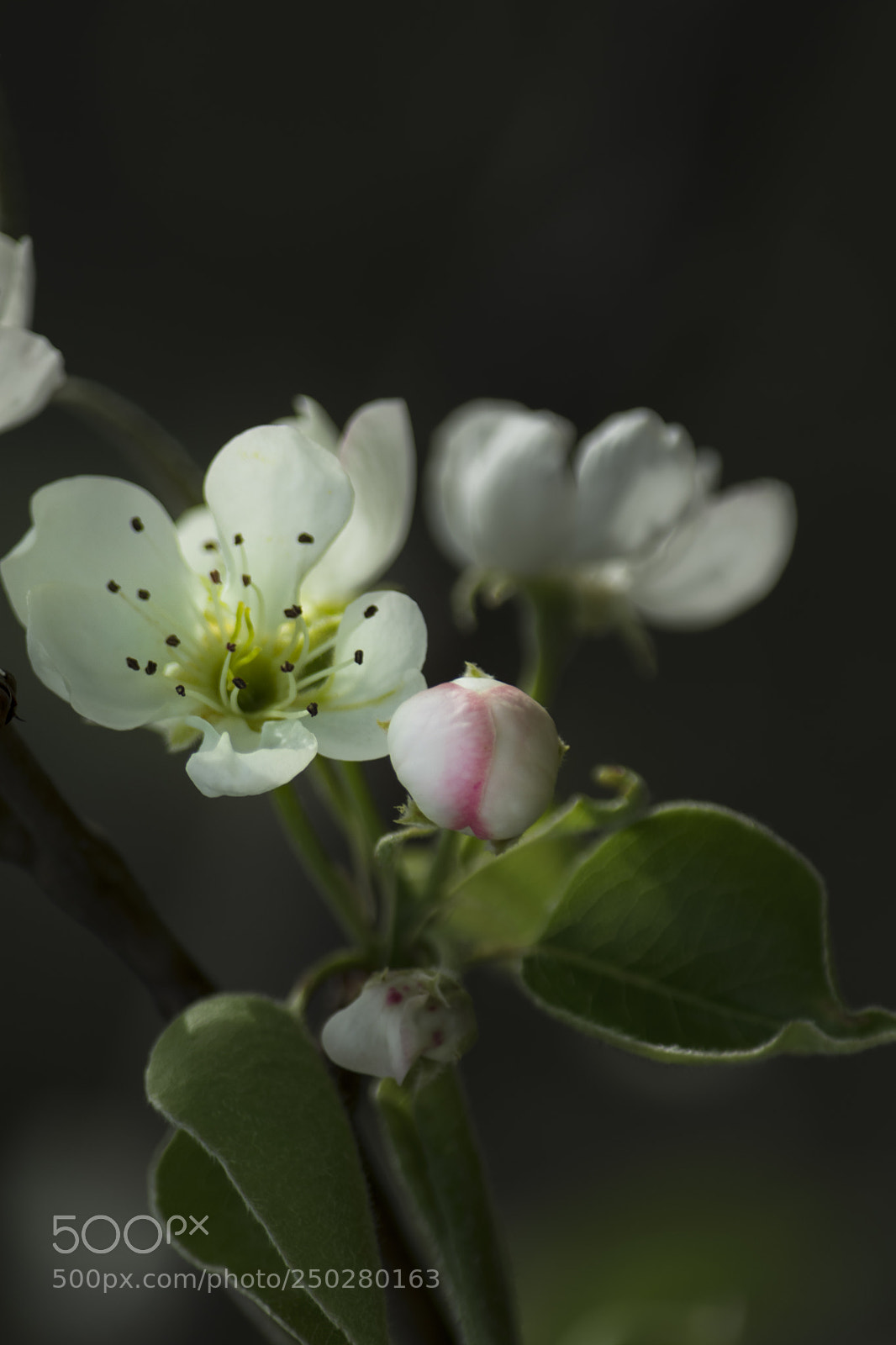 Nikon D3400 sample photo. Img photography