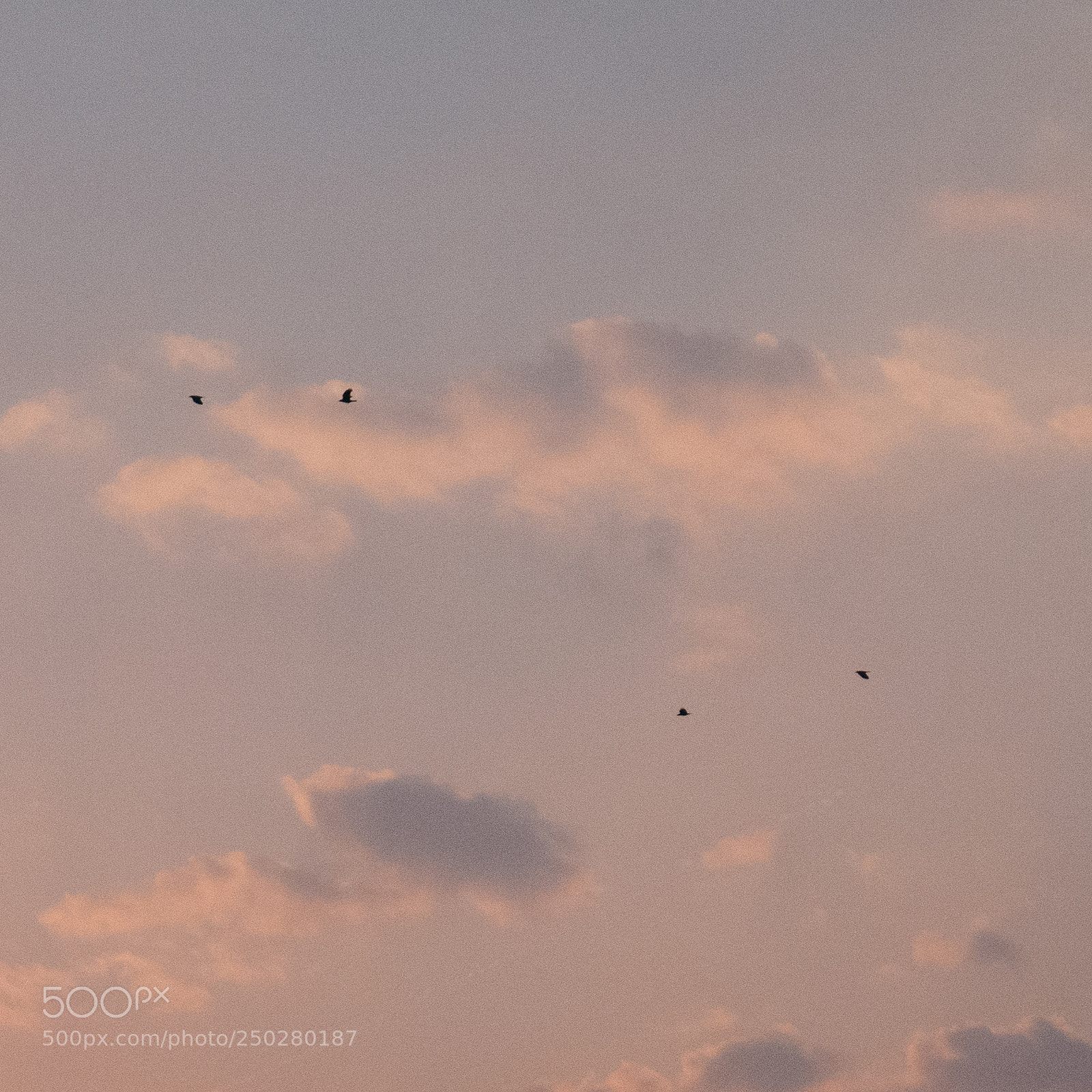 Sony Cyber-shot DSC-RX100 sample photo. Sundown happens in a photography