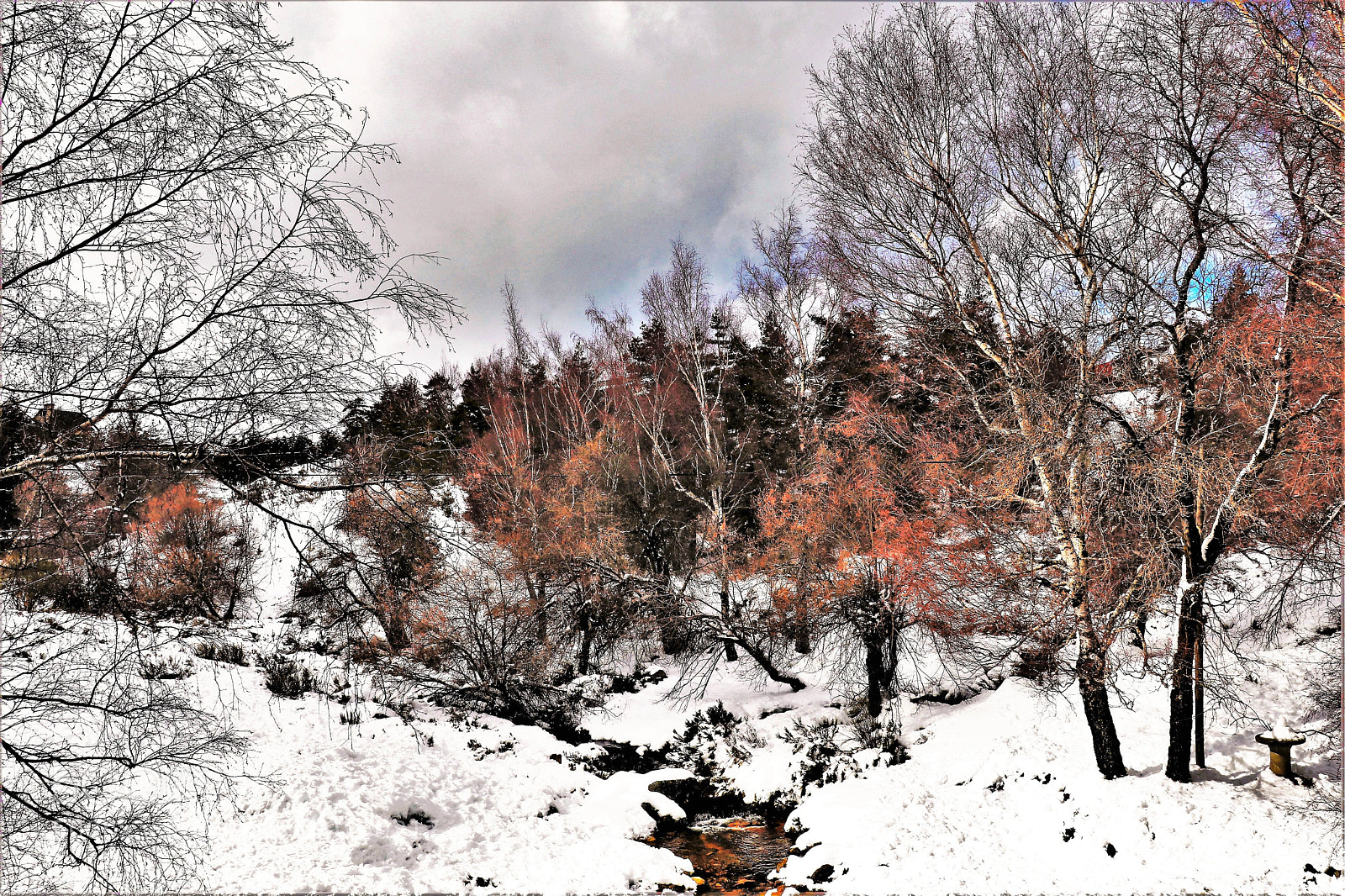 Canon EOS 80D sample photo. Winter photography