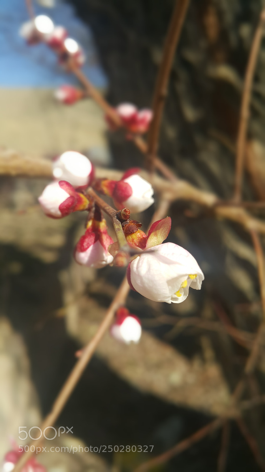 Samsung Galaxy Note4 sample photo. Untitled photography