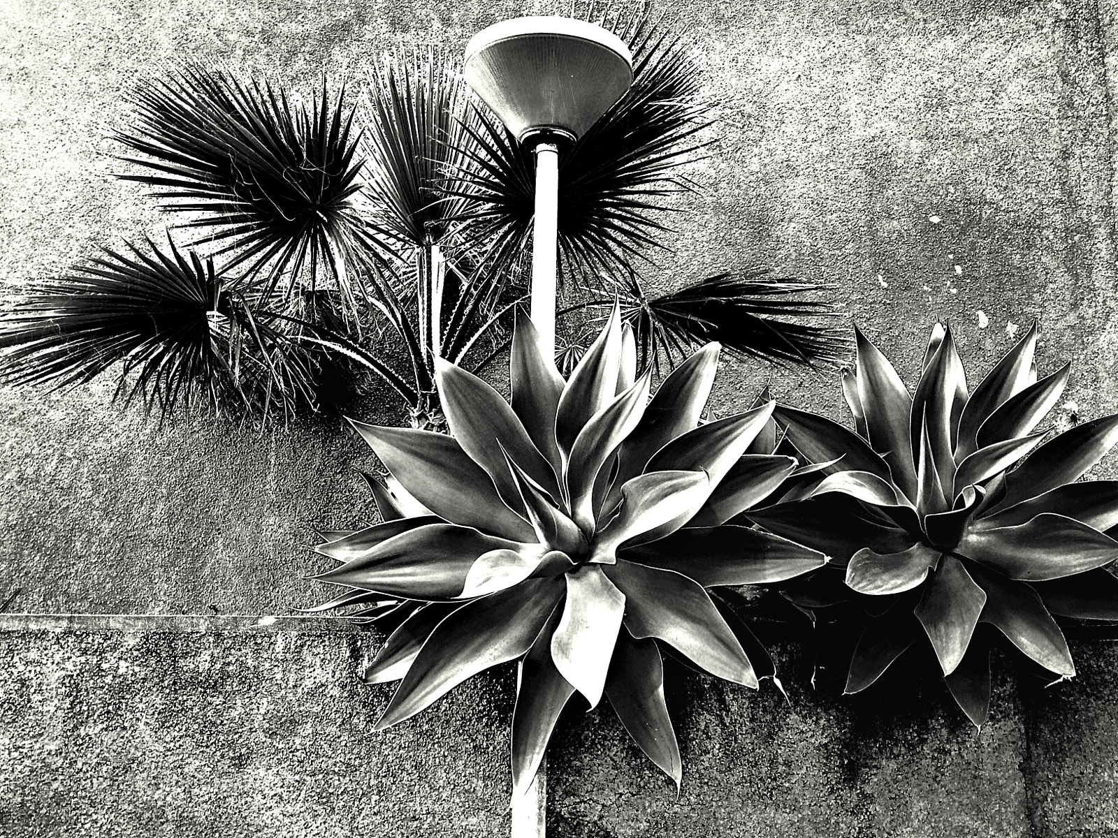 Apple iPhone 5s sample photo. Nature and architecture photography