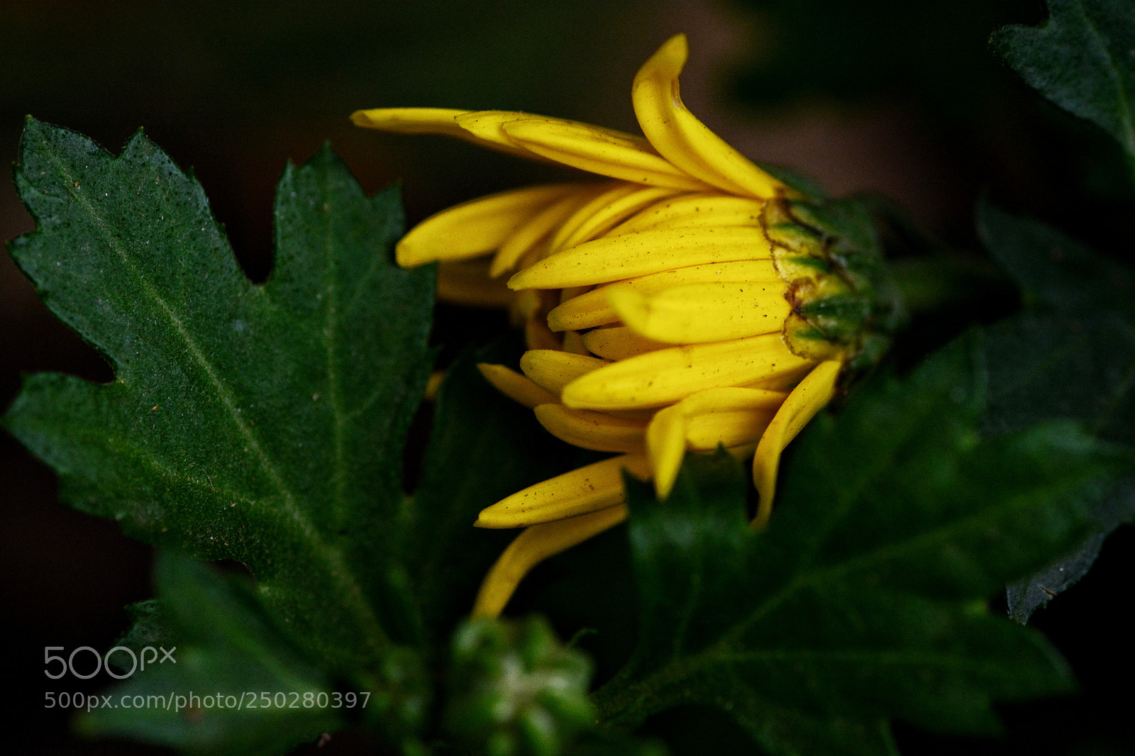 Nikon D7100 sample photo. Untitled photography