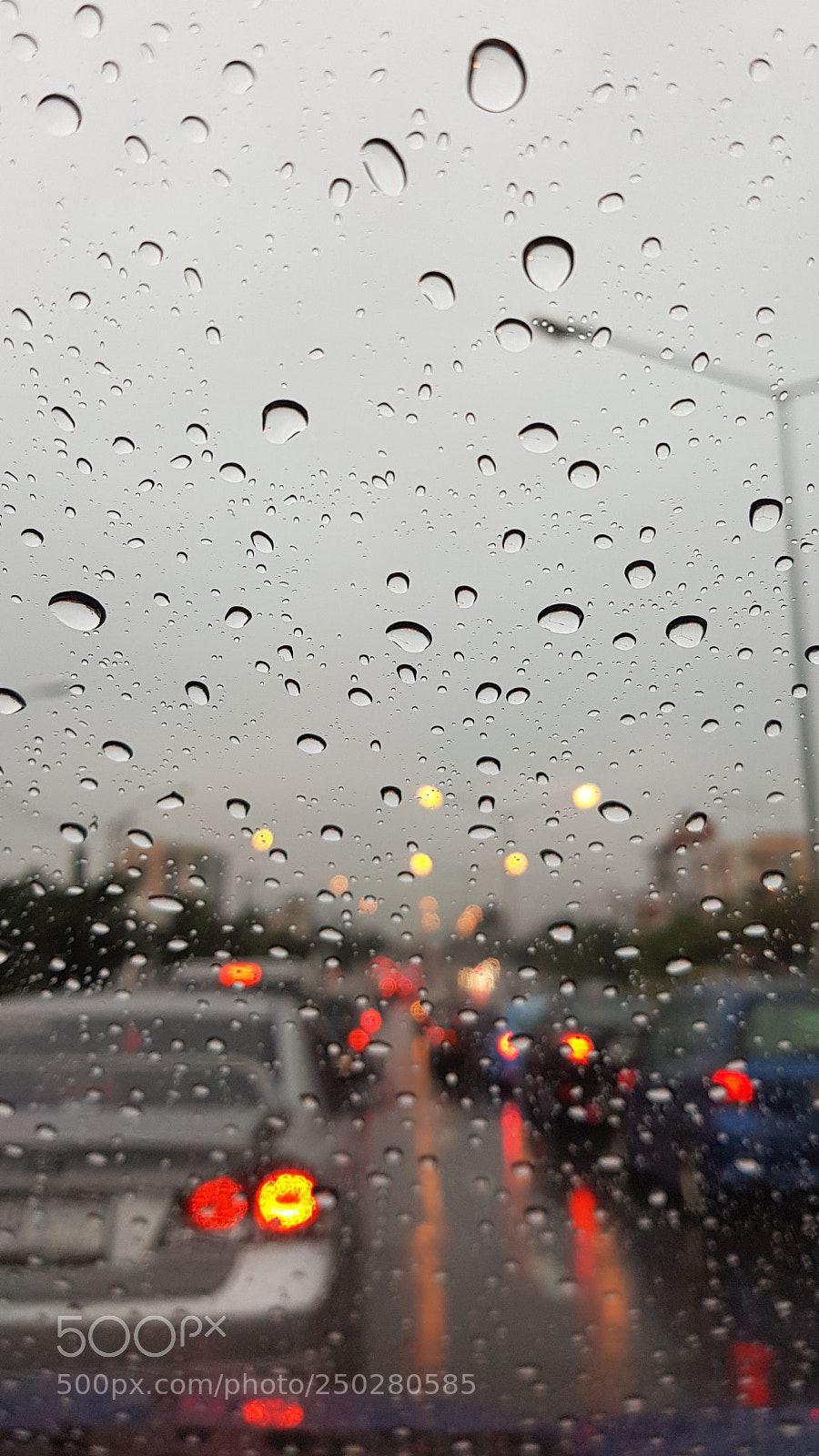 Samsung Galaxy S8+ sample photo. Untitled photography